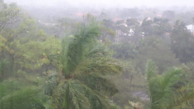 hurricane-irma-s-wind-blowing-the-palm-trees-from-2021-09-01-00-11-03-utc-1024x577