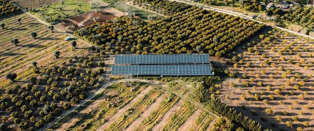 renewable-solar-energy-for-agriculture-2022-04-19-23-04-47-utc-1024x428