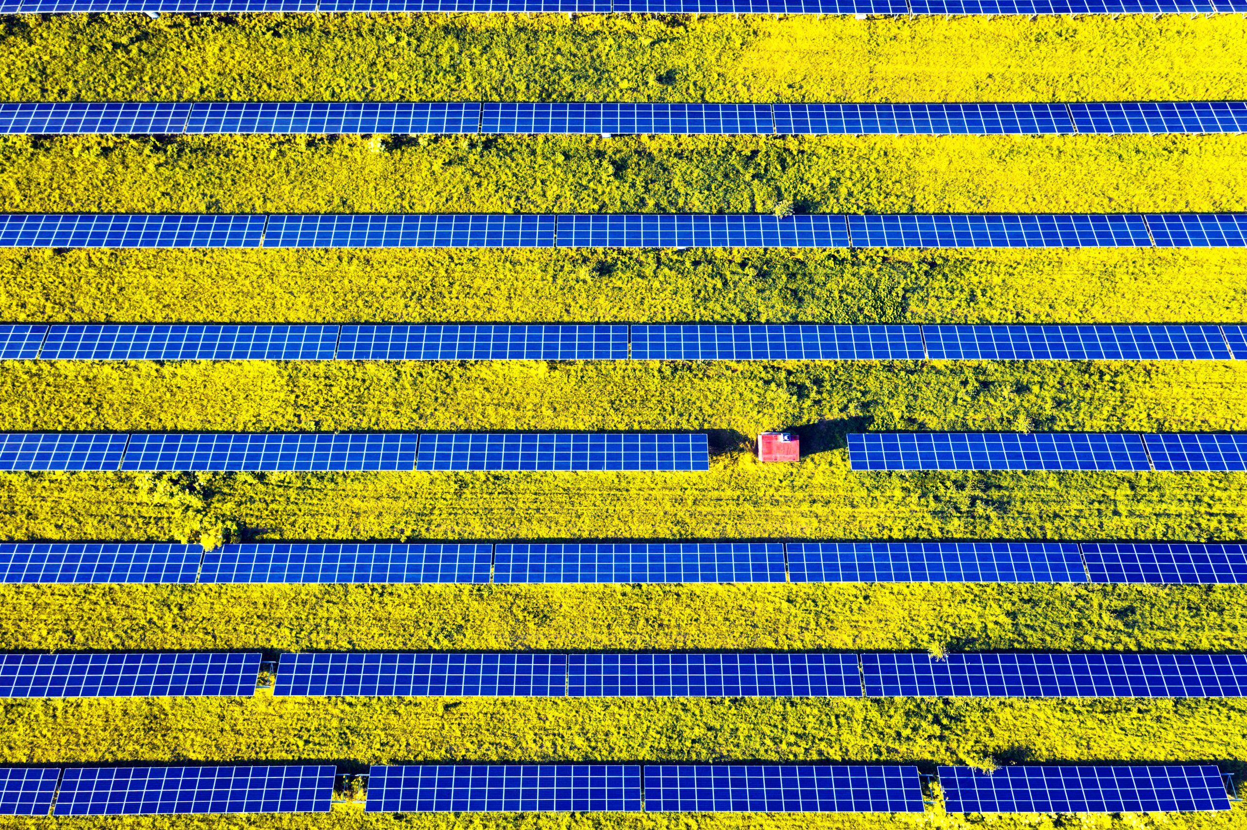 solar-panel-from-above-934P8CA-scaled