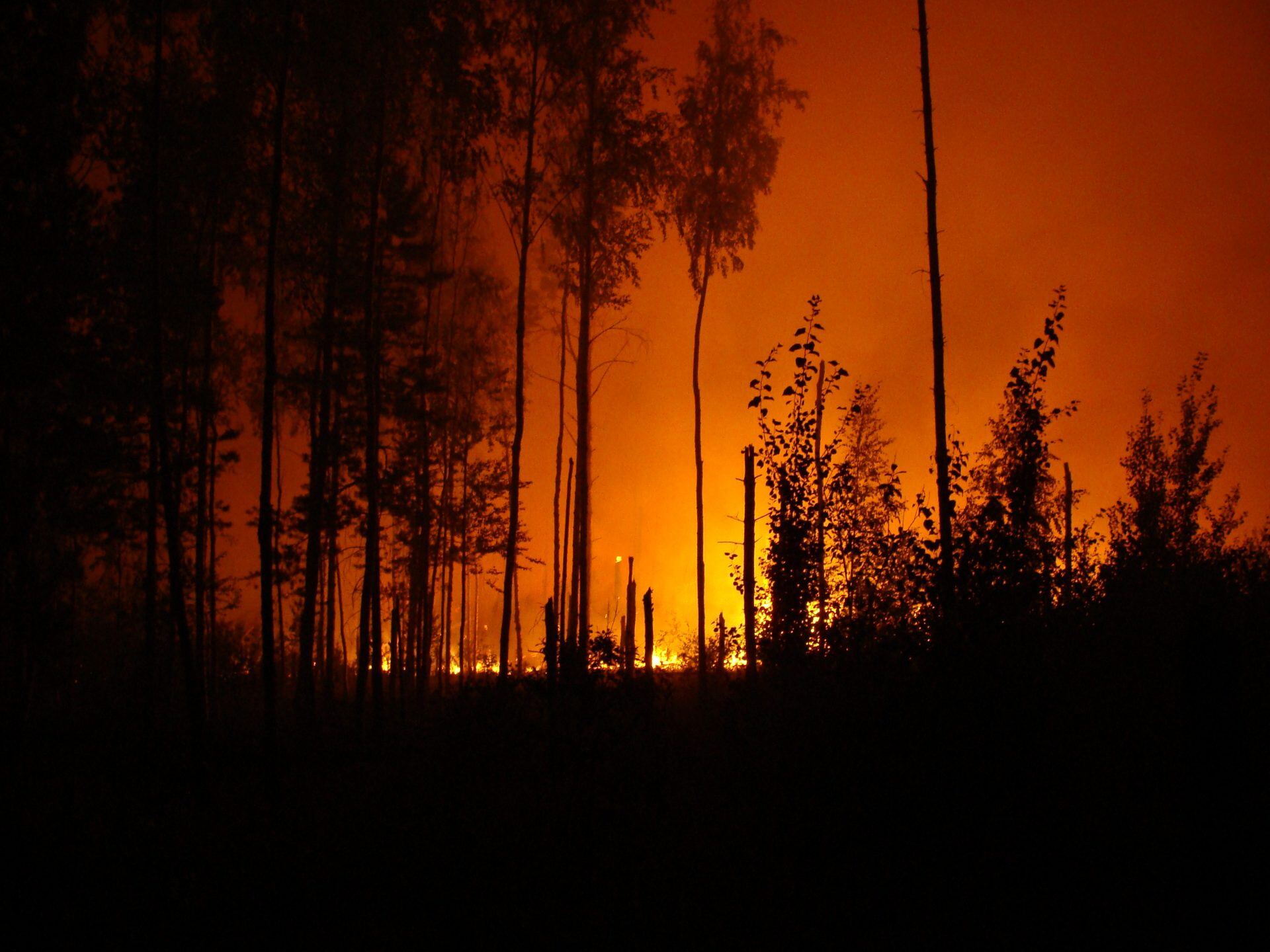 How to Identify Soiling Losses Caused by Wildfires